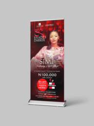 Slim Roll up Banners and Stand